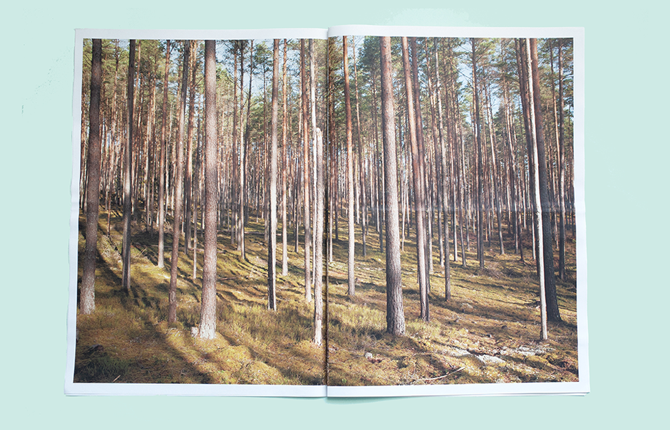 Every month, we print hundreds of interesting, inventive, well-designed newspapers and put together a roundup of our favourites. (Here: a photobook by photographer Alan Gignoux, documenting Latvia's forests. Published by Stanley James Press.)