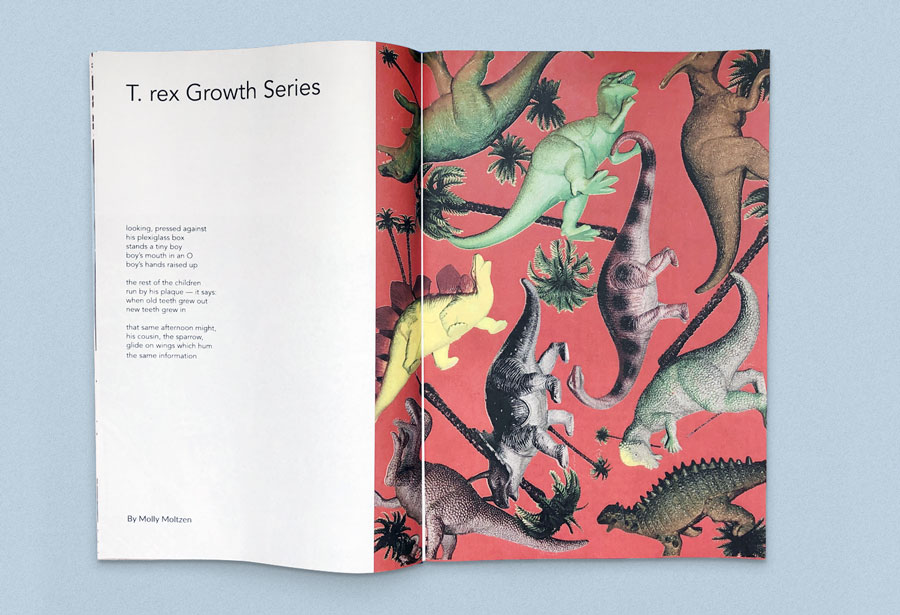 Inside spread from illustrated zine Space Cadet, showing Molly Moltzen's poem titled “T.Rex Growth Series”. Published by ROBIN SCHEINES & NATALIA OLBINSKI. Printed by Newspaper Club.