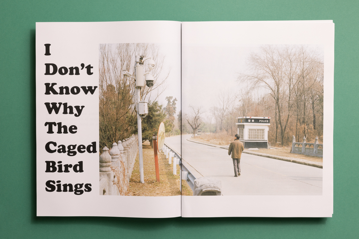 A beginner's guide to designing and printing a photography newspaper