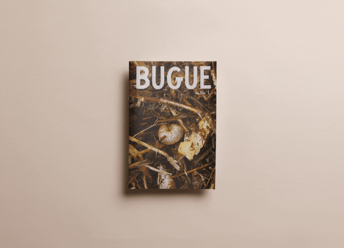 Bugue by Liana Jegers, printed by Newspaper Club